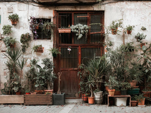 Barcelona | House Plants in El Born Print