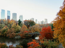 Load image into Gallery viewer, New York City | Autumn in Central Park Print
