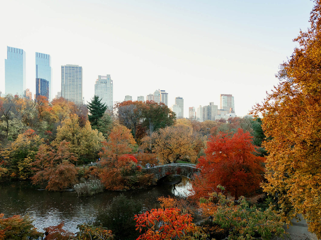 New York City | Autumn in Central Park Print