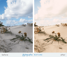 Load image into Gallery viewer, Flytographer Collection Lightroom Presets
